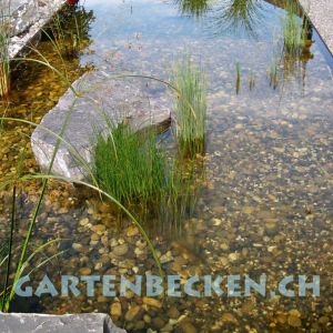 Gartenbecken 088